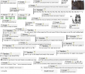 Thumbnail for version as of 17:35, 22 February 2022