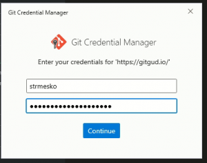 Auth window